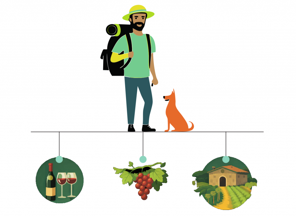Illustrazione Cantine del falerno