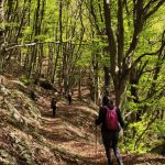 Escursionisti lungo un sentiero immerso nel bosco del Monte Massico tra alberi e vegetazione primaverile