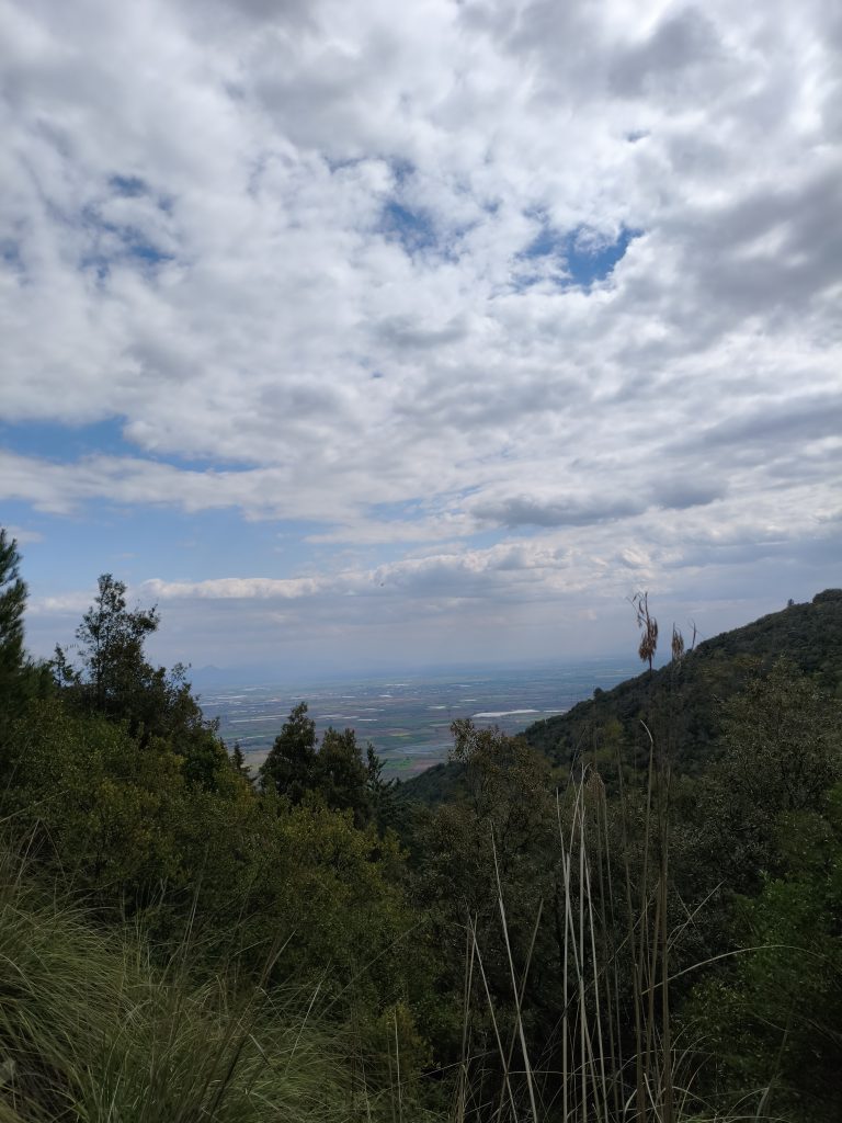 panorama falciano