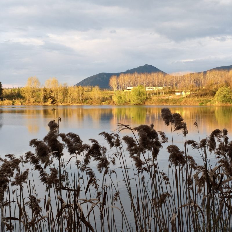 Canneti in primo piano lungo il lago con riflessi sull’acqua e colline illuminate dalla luce del tramonto