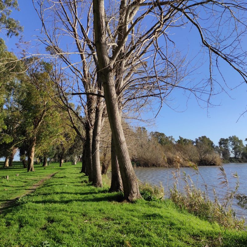 veduta del lago di falciano del massico 3