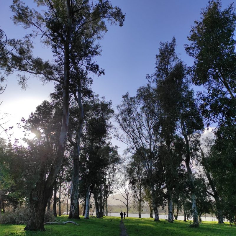 veduta del lago di falciano del massico 4