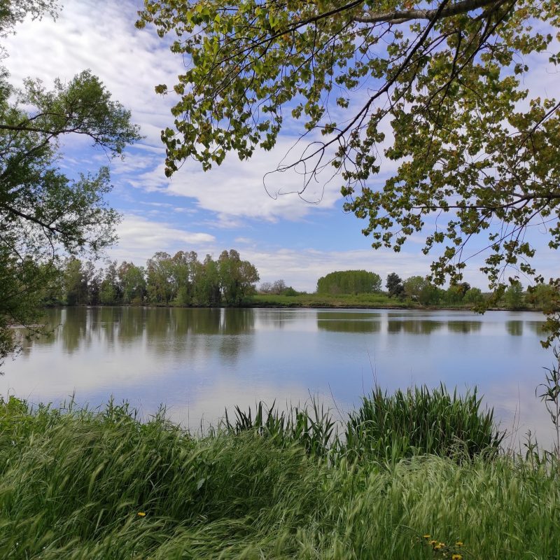 veduta del lago di falciano del massico 6