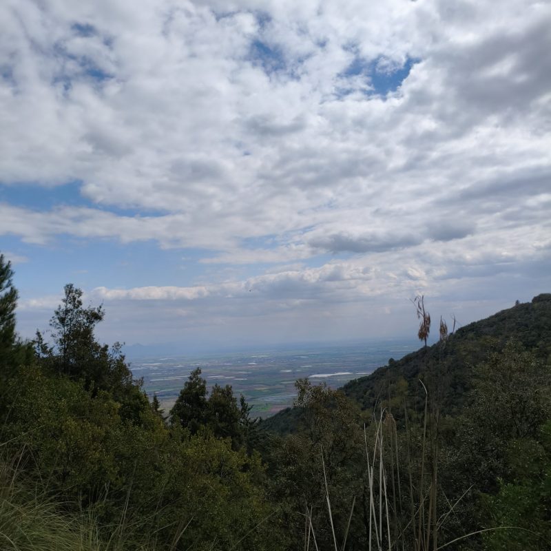 panorama falciano